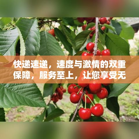 快递速递，速度与激情的双重保障，服务至上，让您享受无忧寄递体验！