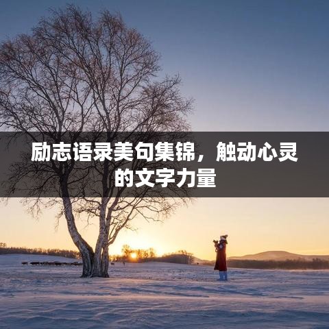 励志语录美句集锦，触动心灵的文字力量