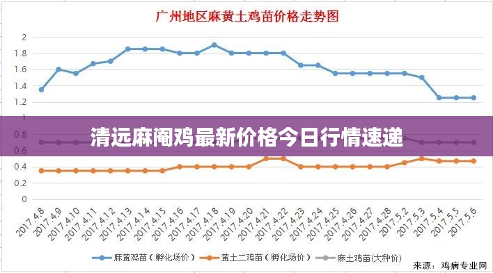 清远麻阉鸡最新价格今日行情速递