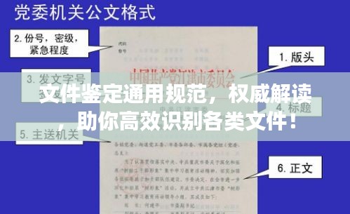 文件鉴定通用规范，权威解读，助你高效识别各类文件！