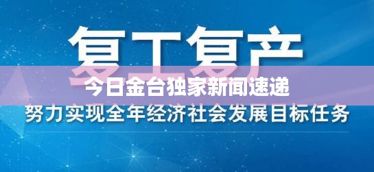 今日金台独家新闻速递