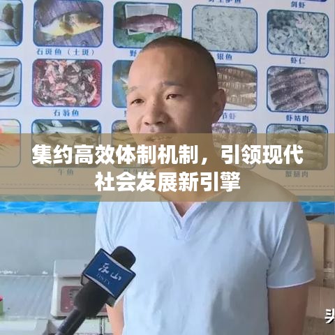 集约高效体制机制，引领现代社会发展新引擎
