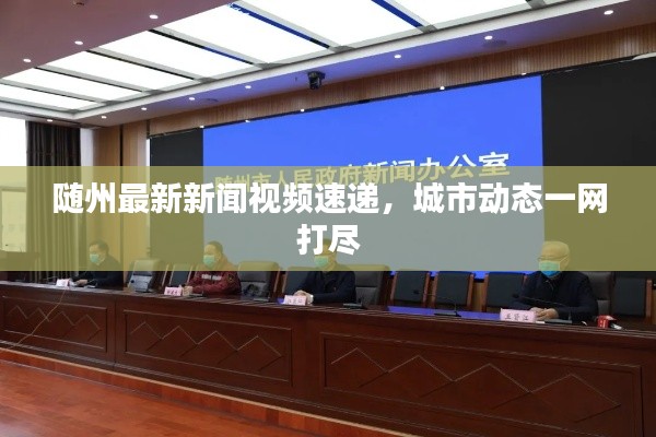 随州最新新闻视频速递，城市动态一网打尽